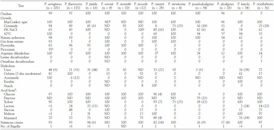 Caractéristiques biochimiques des espèces de Pseudomonas